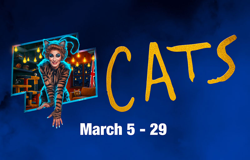 title_cats_800x513 Guys and Dolls poster